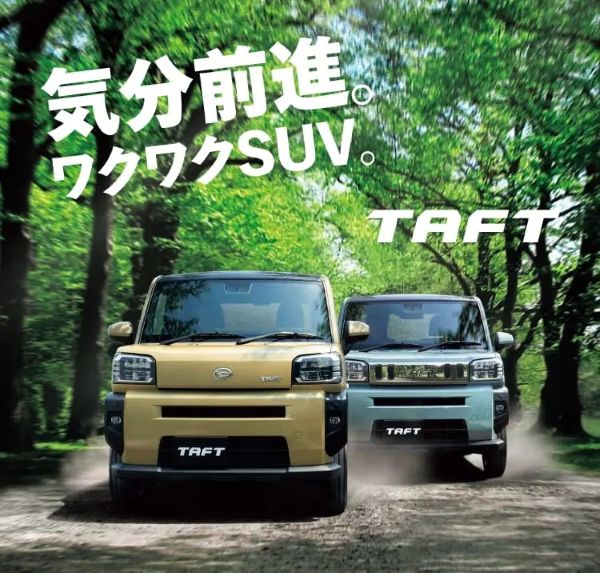 タフトの魅力をご紹介!